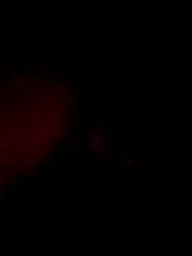 LemonyArcus's cam snapshot