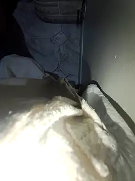 exedel11's cam snapshot