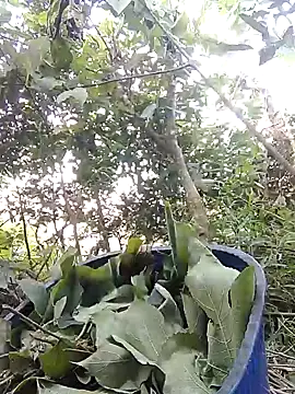 Biu_xx's cam snapshot