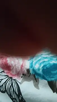 Sexy-lord's cam snapshot