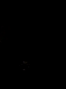 lesoley's cam snapshot