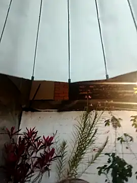 EVANGELY_FOX's cam snapshot