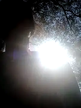 Nelug's cam snapshot