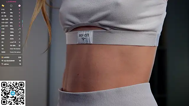 Quinavelle's cam snapshot