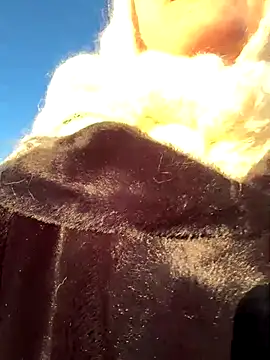 Only_April's cam snapshot