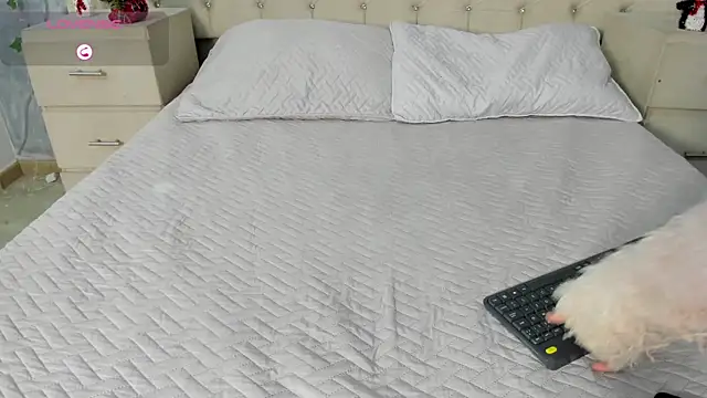 AlaskaFlowerss_'s cam snapshot