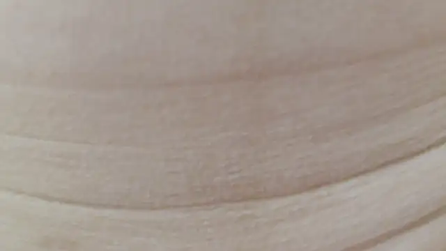 sonyx's cam snapshot