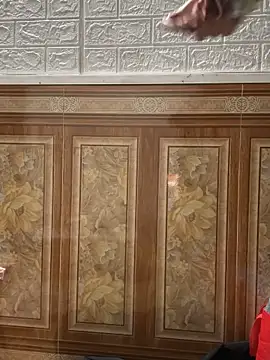 binejr's cam snapshot