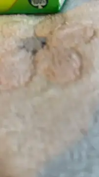 liulibaobao live sex cam