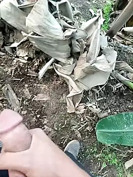 Sikici0734's cam snapshot