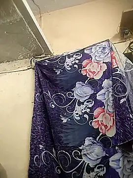 meenu_bhabhi547's cam snapshot