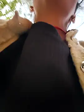 Gulika_Doshi's cam snapshot