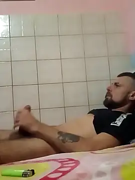 Pintiliescu's cam snapshot