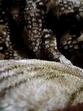 Delhi_real_meet00's cam snapshot