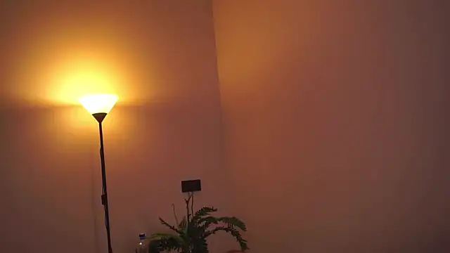 DonaPelligrino's cam snapshot