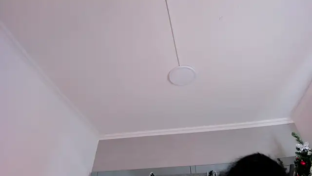 AmberiniHoffman's cam snapshot