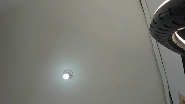 Ladymadinght's cam snapshot