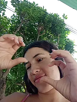 -Nicol's cam snapshot