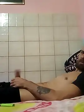 Pintiliescu's cam snapshot