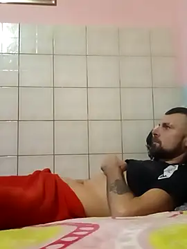 Pintiliescu's cam snapshot