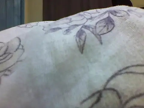 LaylowLee's cam snapshot