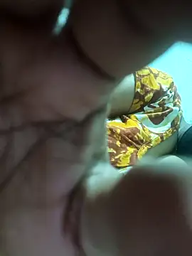 SX-ANA's cam snapshot