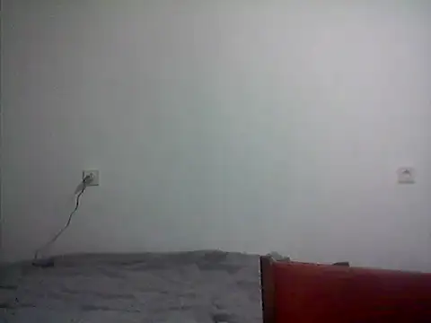 Twolatte live sex cam