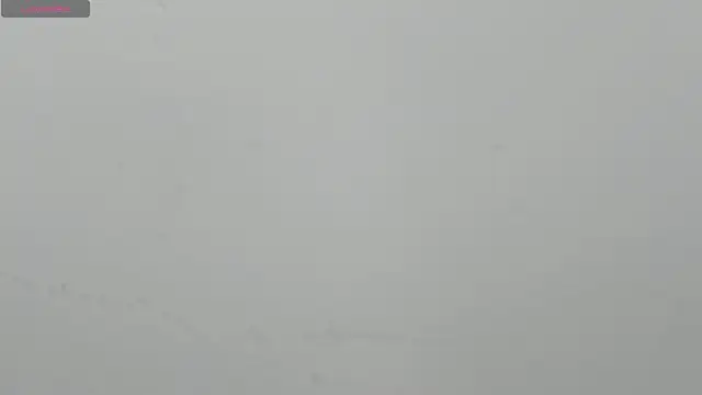 -sophie_yefry_interracial live sex cam