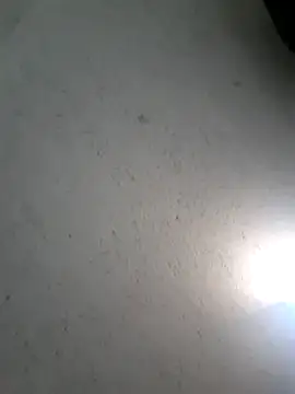 SherrylShaw's cam snapshot