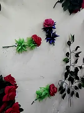 Indian-Glory's cam snapshot