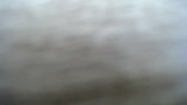 DAPHNE_doll live sex cam