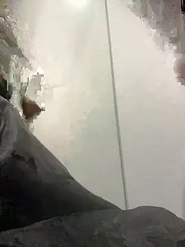 laarti's cam snapshot