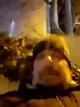 porkorossy live sex cam