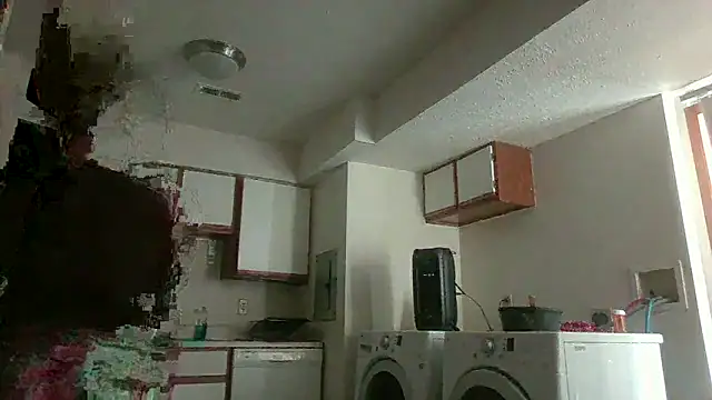 dixielover1229 live sex cam