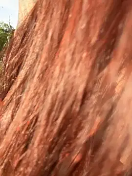 AliceMrtnz's cam snapshot