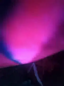 Chanderi19's cam snapshot