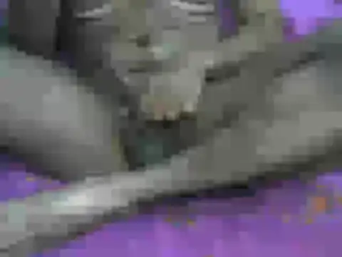 AnilSharma2021's web cam