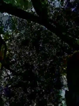 outdoors11 live sex cam