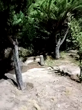 Labellasex live sex cam