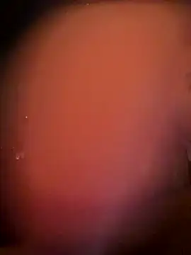 Mia_MilesXXX's cam snapshot