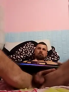 Pintiliescu's cam snapshot