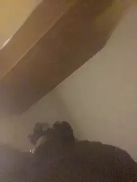 thecatfish's cam snapshot