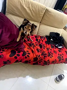 xoxo_milk's cam snapshot