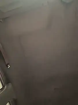 cody_fox10 live sex cam