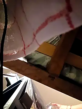 1Sweetnina's cam snapshot