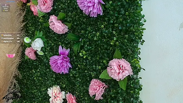 julieta_aguilar1 live sex cam