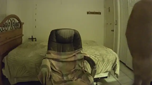 nakeedcowboi65 live sex cam