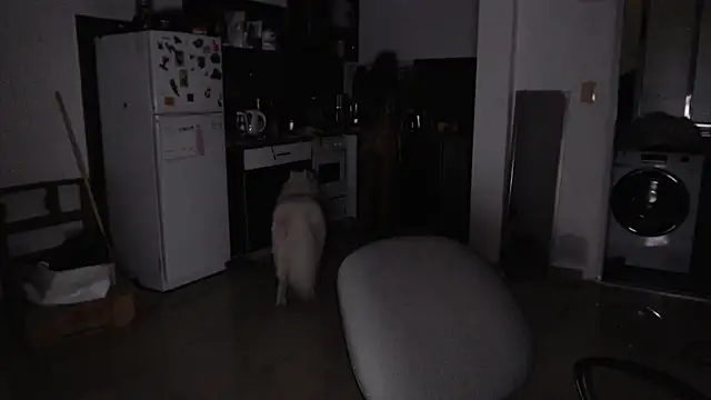 bunnylolaa4's cam snapshot