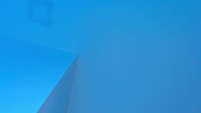 Sebax_Young live sex cam