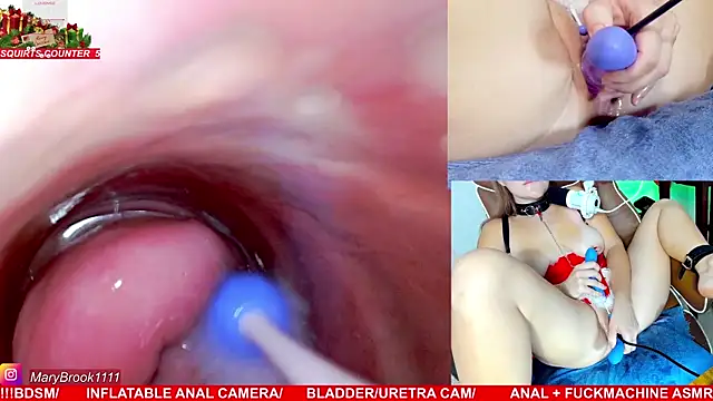 MaryBrook1 live sex cam